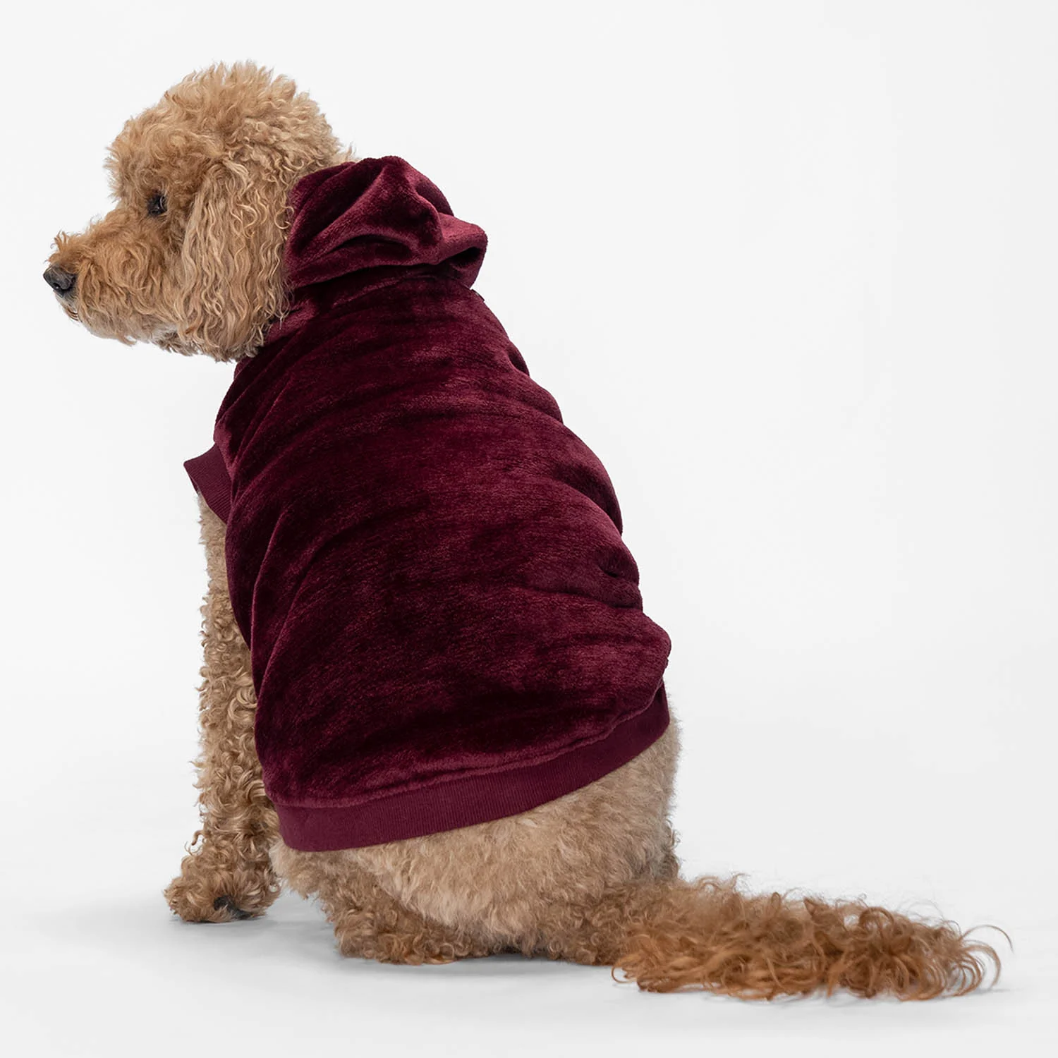 Burgundy - Image 3
