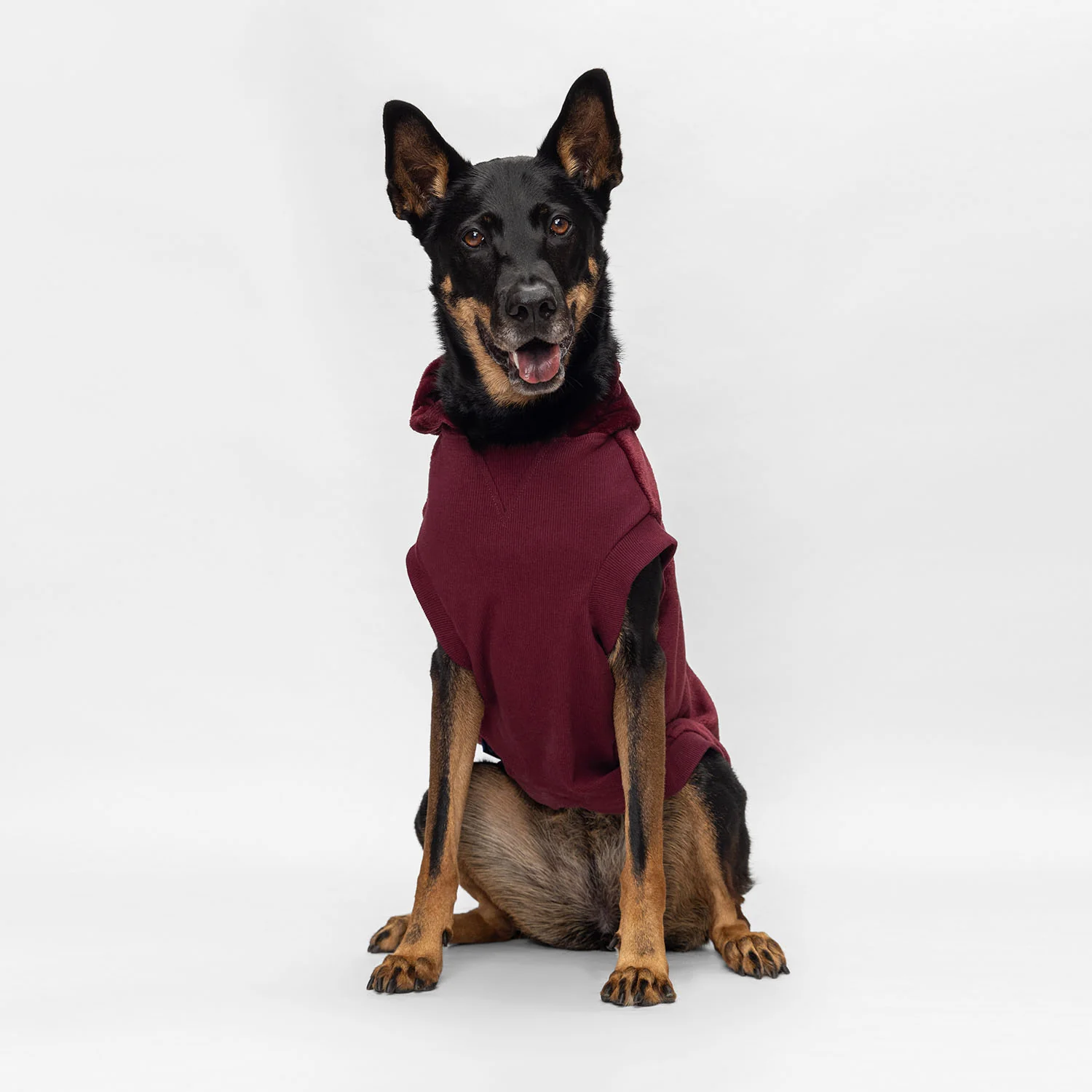 Burgundy - Image 4