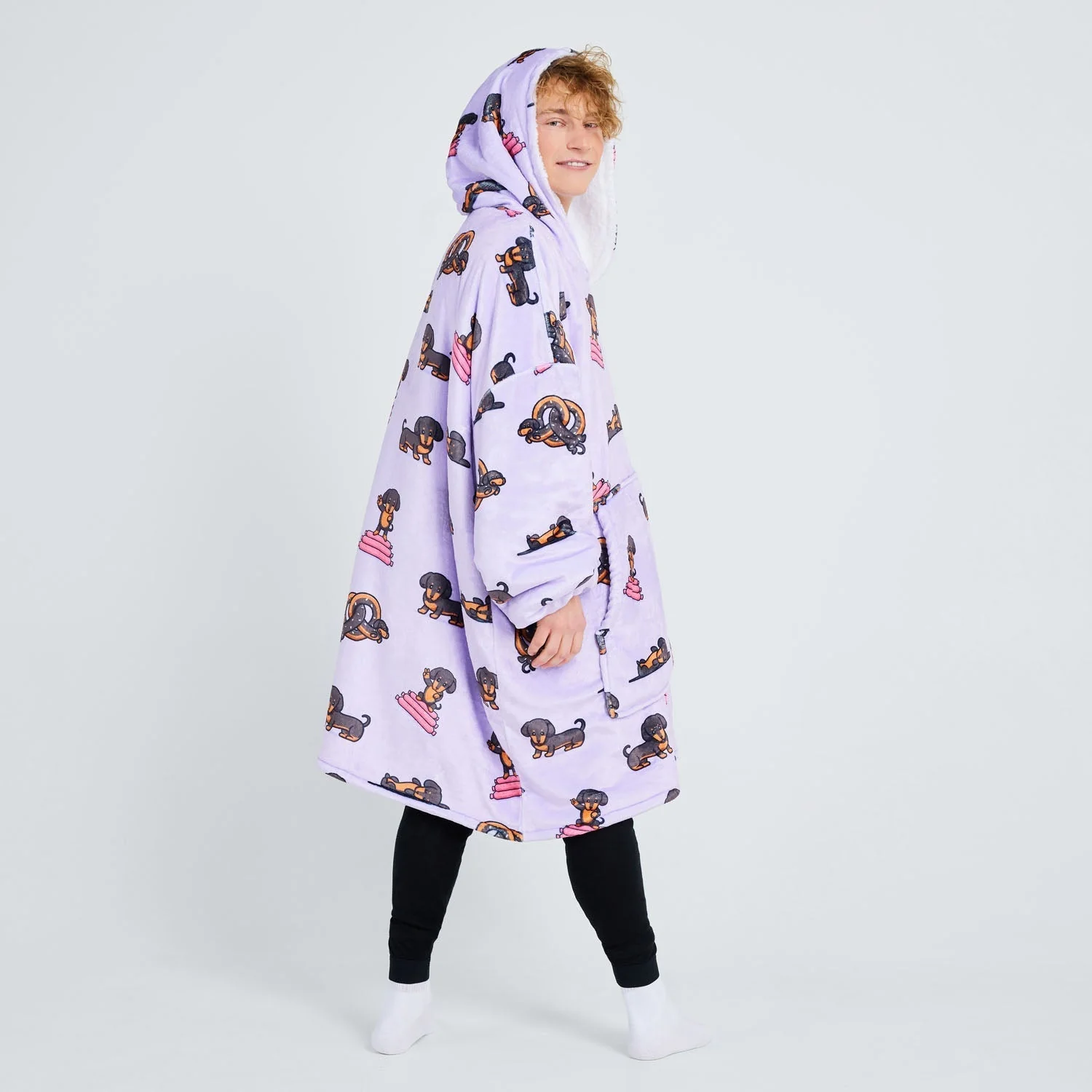 Dachshund - Image 10