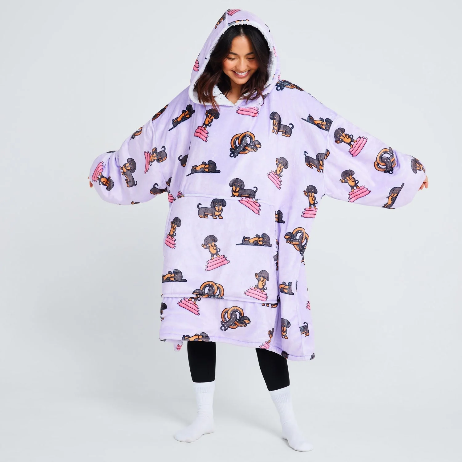 Dachshund - Image 8
