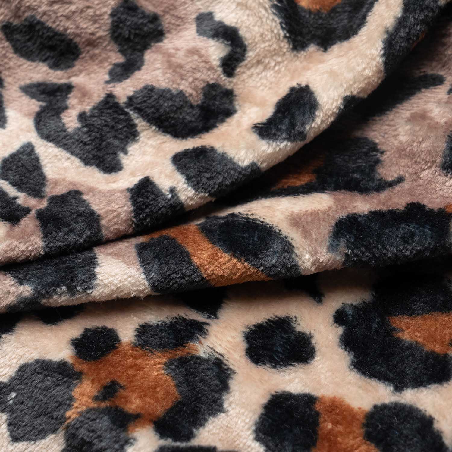 Leopard - Image 6