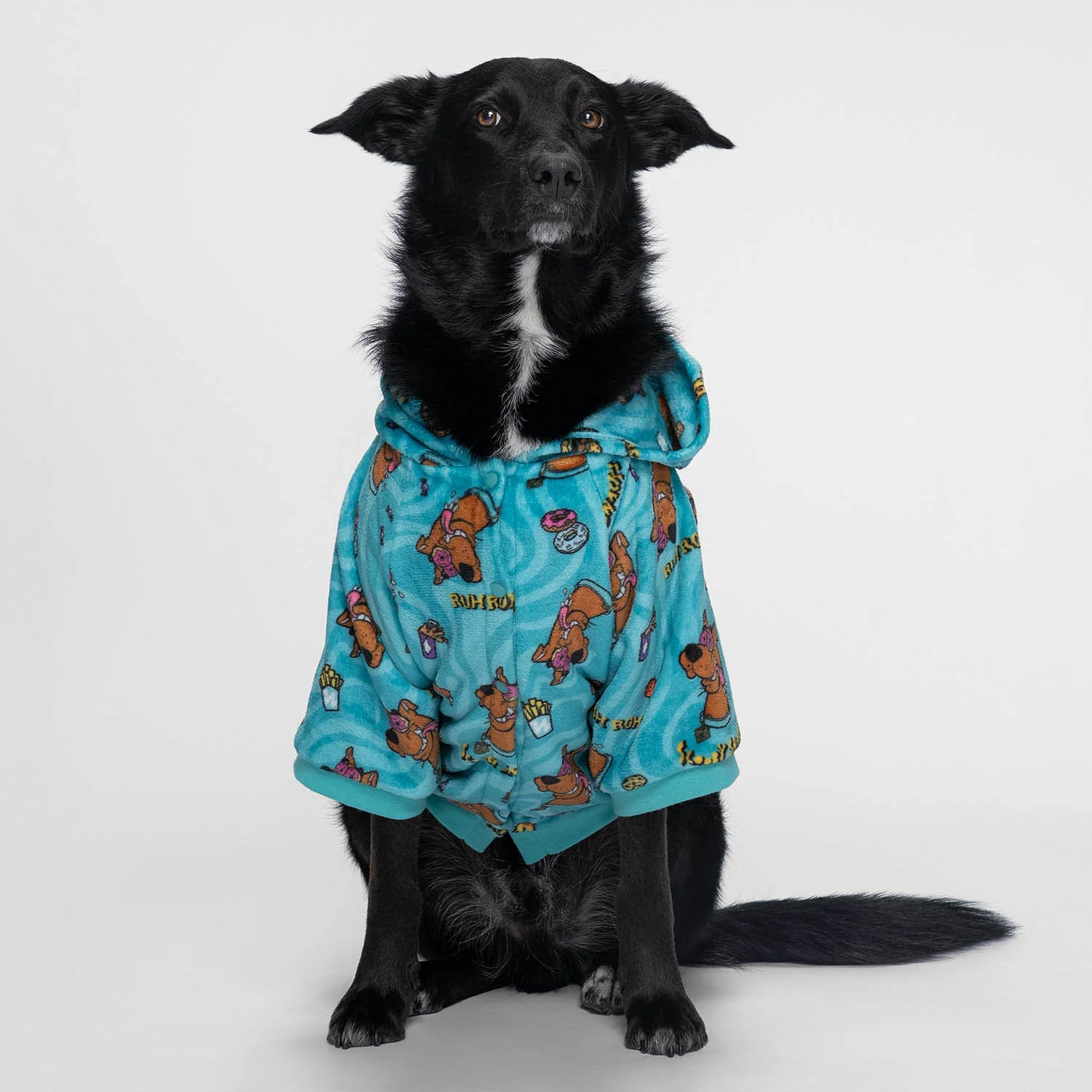 Scooby Doo - Image 2